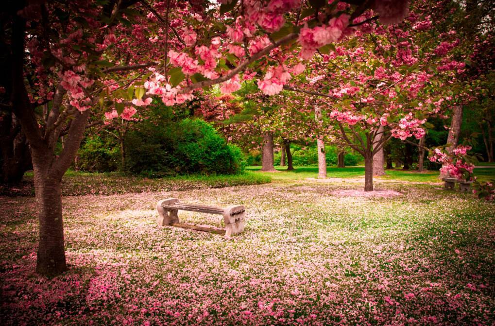 ЖК «Knightsbridge Private Park - Найтсбридж Приват Парк» Свой сад