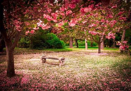 ЖК «Knightsbridge Private Park - Найтсбридж Приват Парк» Свой сад