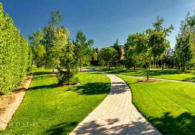 �� ��������� 