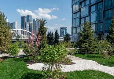 �������� 43,00 �² Will Towers