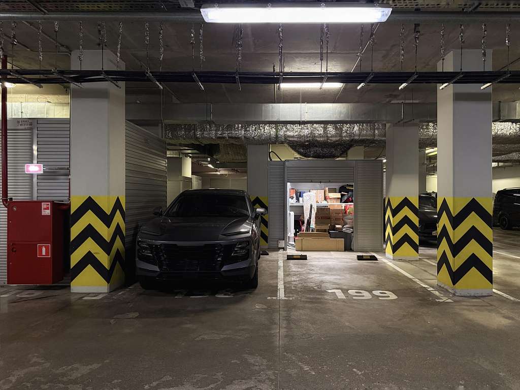 ���������� ����